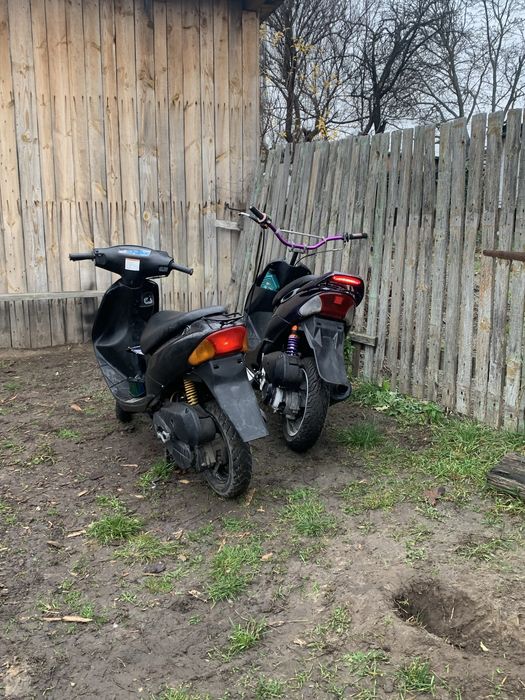 Suzuki lets 3 бабочка