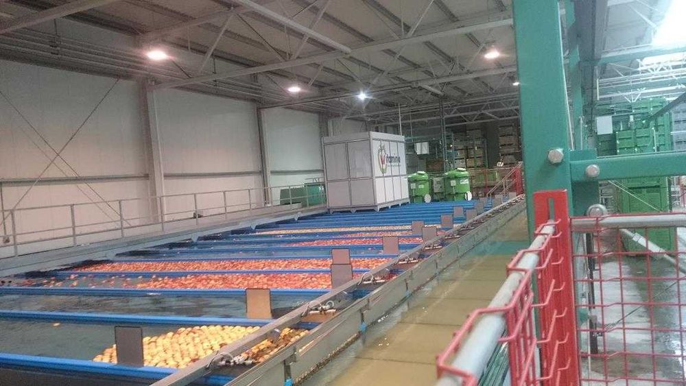 Greefa Geosort 3 Urządzenie do przetwórstwa żywności