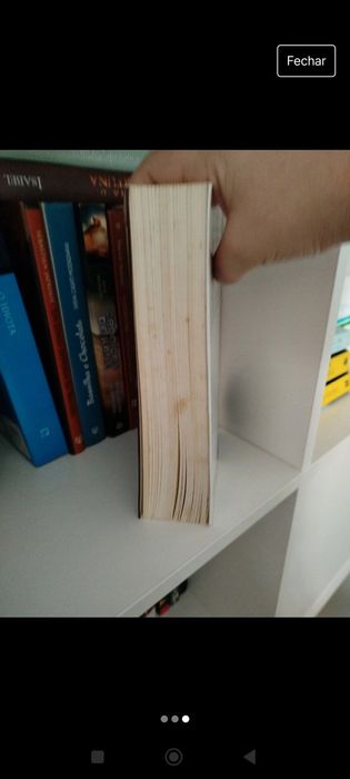 Livro "Estado de Pânico" Michael Crishton