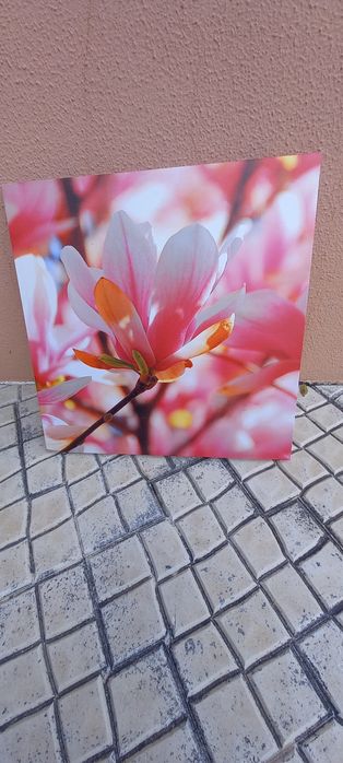 Tela de parede nova