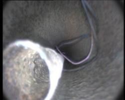 Бурение, ремонт скважин Высокий Санжары Солоницевка Змиев Чугуев и др.