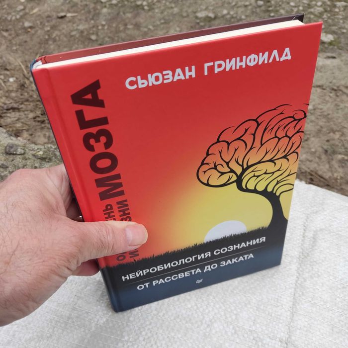 Гринфилд С. Один день из жизни мозга. Нейробиология сознания