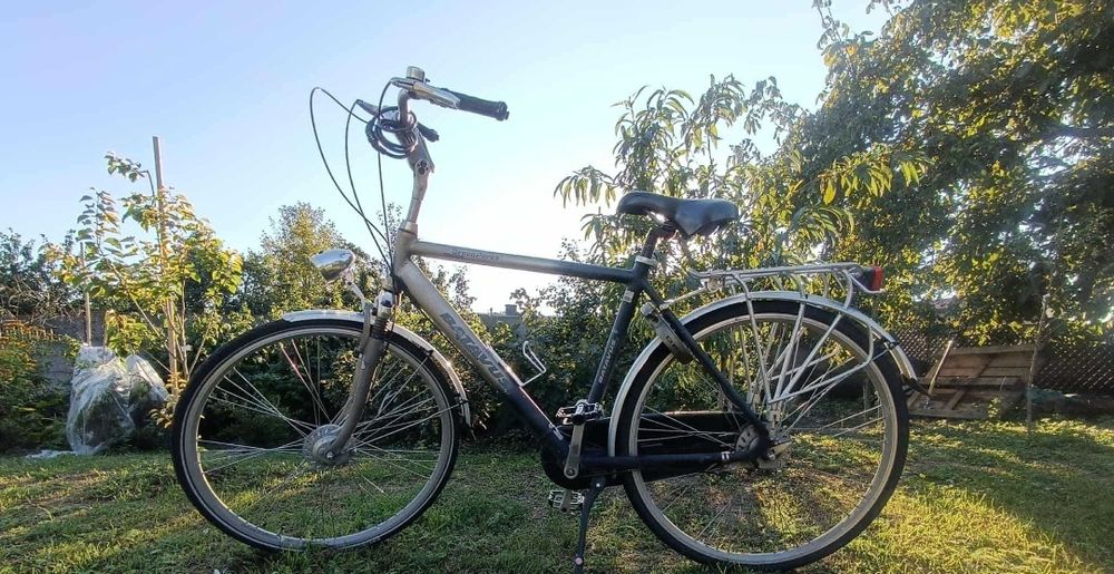 Rower męski Batavus