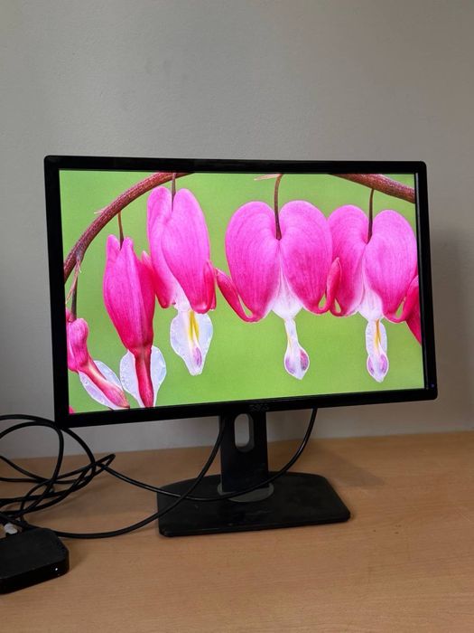 Монітор Dell — 24”, IPS, Full HD+