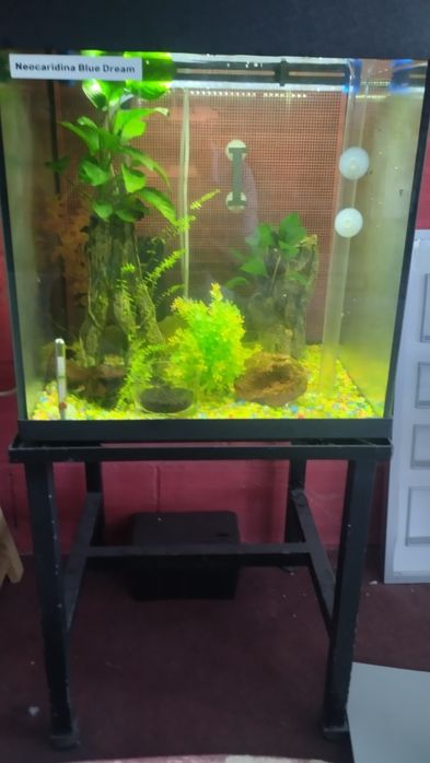 Vários  Aquários  50 ,, 60 ,, 90 ,