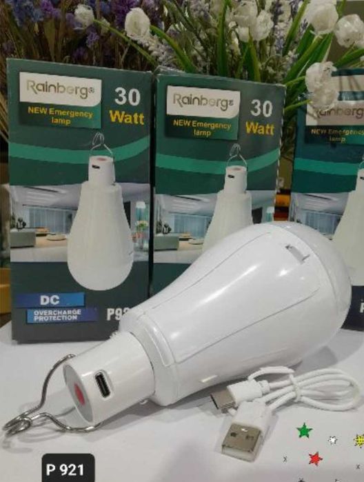 Ліхтар-лампа кемпінговий  Р921 ( 30W, 2 змінних акумулятора) *300грн*