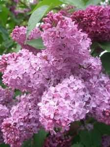 Сдам в аренду часть дома