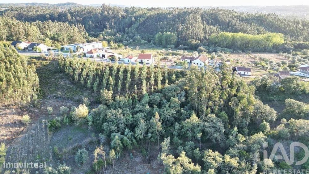 Terreno para construção em Pelariga