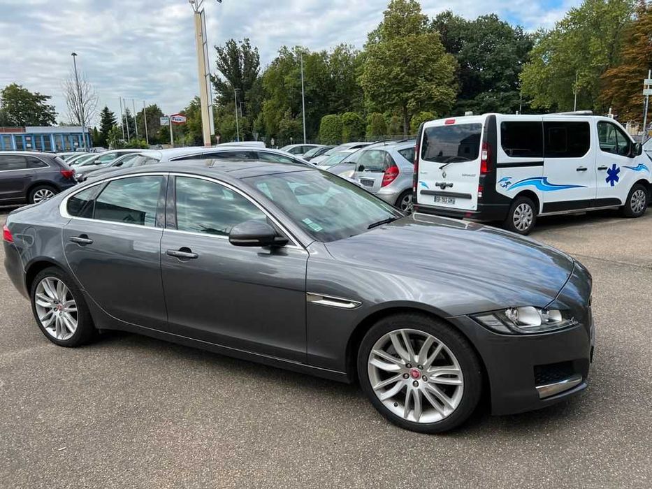 Бампер JAGUAR XF X260 запчастини розборка Ягуар іксф ікс260 шрот