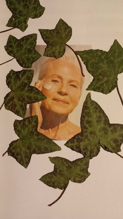 Suszone liście dekoracyjne