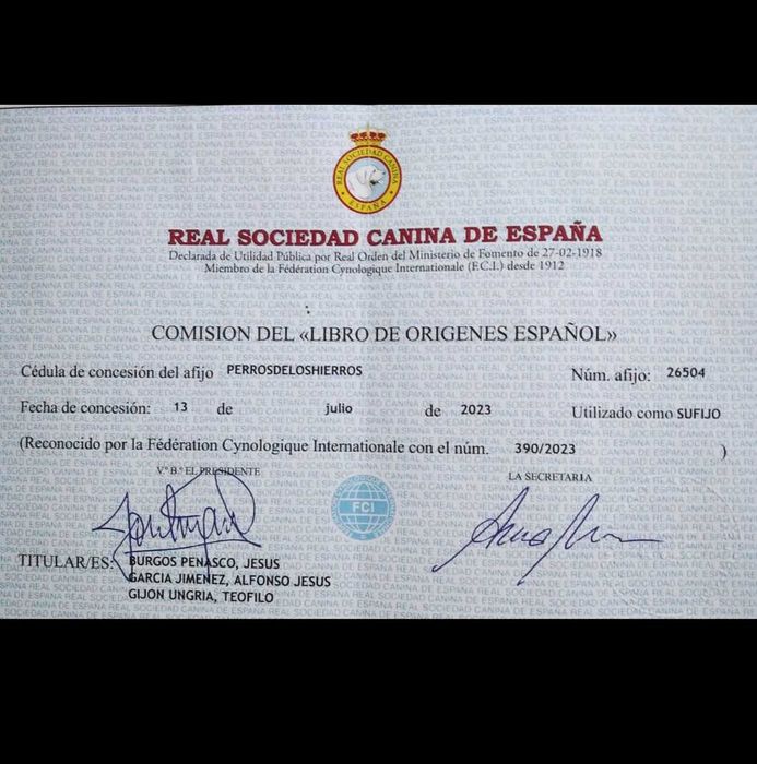 Alabais na cidade do Porto. Ninhada (A) destes belos exemplares.