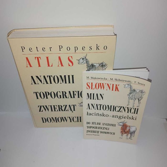 Atlas anatomii topograficznej zwierząt domowych + Słownik 2008