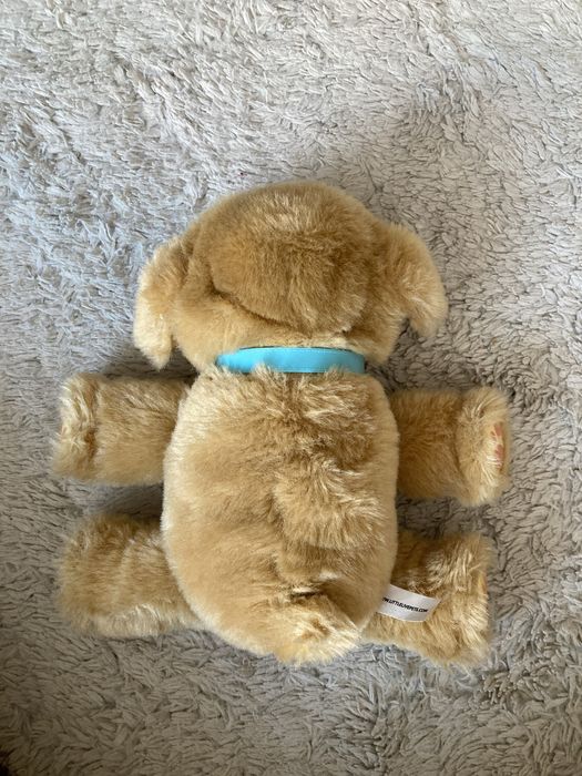 Zestaw dwóch interaktywnych piesków