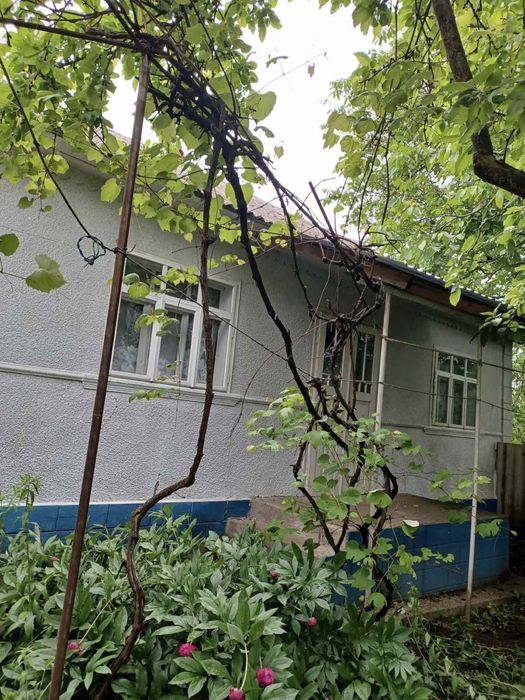 Продається господарство у Дністровському районі