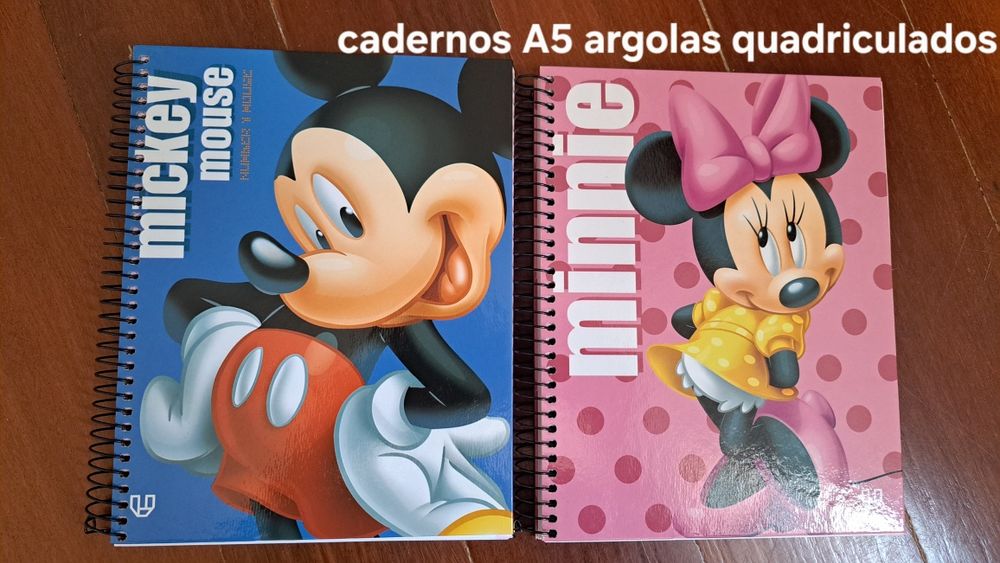 Cadernos A4 e A4 - quadriculados e pautados