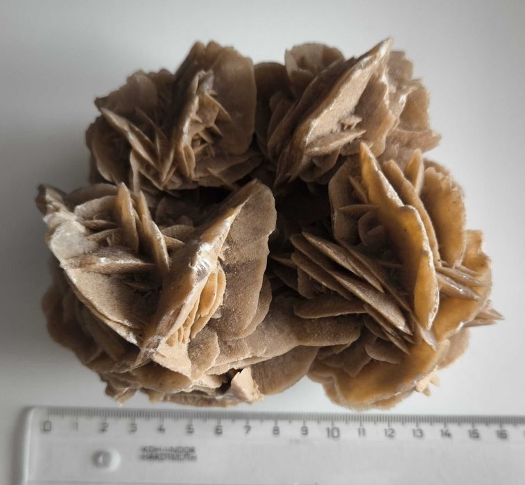 Przepiękna duża róża pustyni - minerał, ok. 1kg
