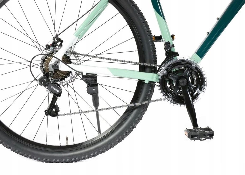 Canis 29" R 19" Zielony