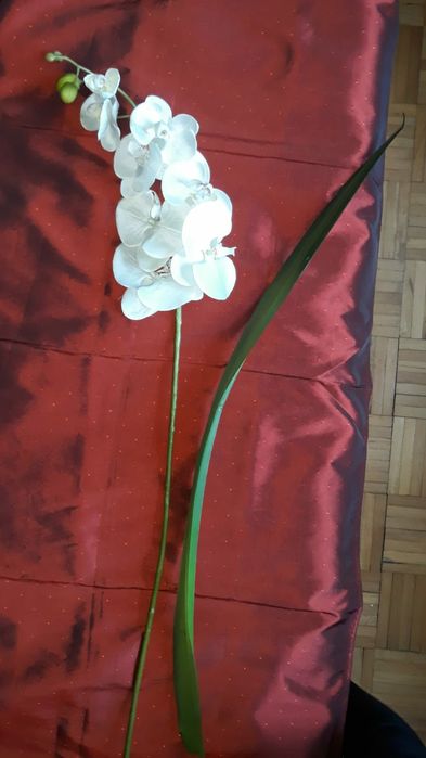 Śliczny sztuczny storczyk kwiat biały kwiatek 95cm do wazonu