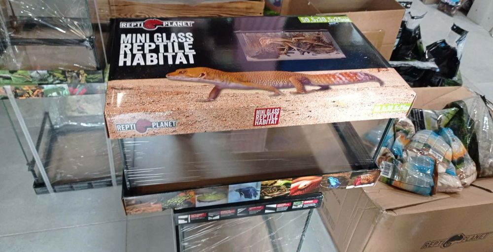 Terrarium Szklane Z Siatką 50,5x30,5x25cm 50x30x25cm Gekon Lamparci Szczekający Płaczący Żaba Mała Agama
