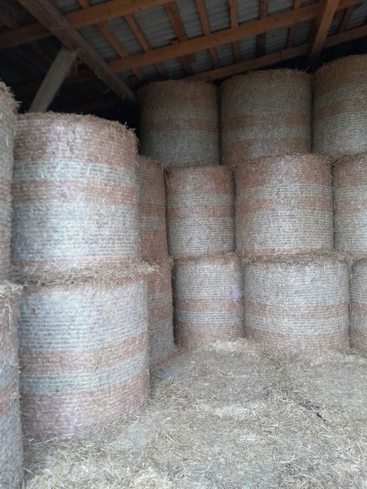 Sianokiszonka 2025r siano