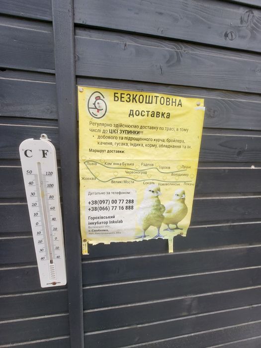 Продаж ферм. господарства 500 м.кв.