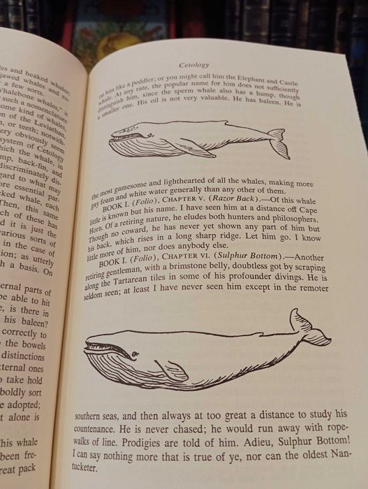 Moby Dick; or, The Whale - HERMAN MELVILLE
