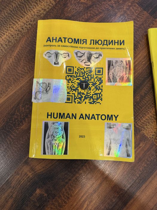Анатомія розмальовка