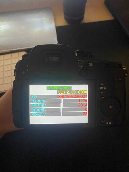 Panasonic Lumix GH5  + обʼєктив + клітка