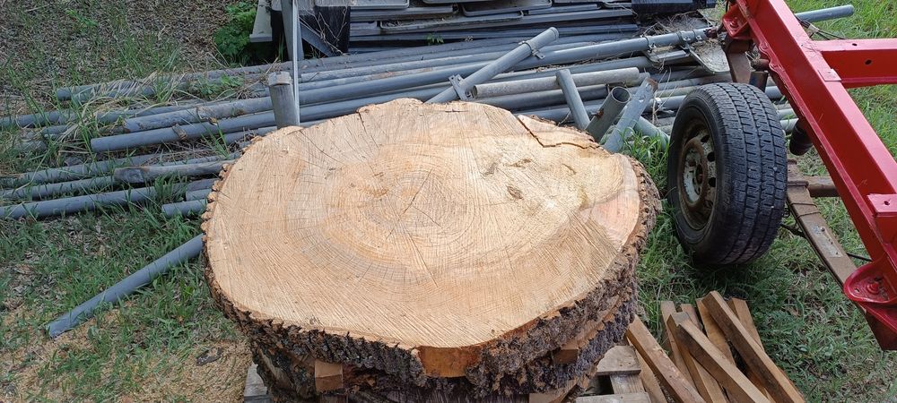 Plastry drewna z jesionu