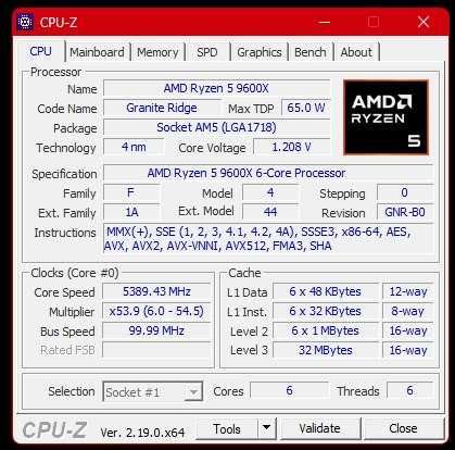 Ryzen 5 9600x 6/12