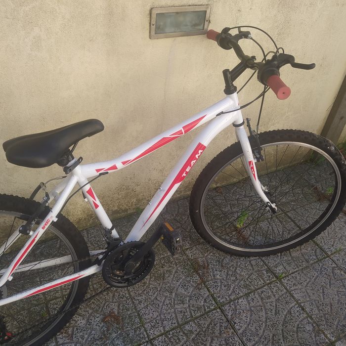 Bicicleta juvenil Team