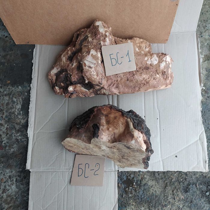 Кап , сувель вільхи та липи