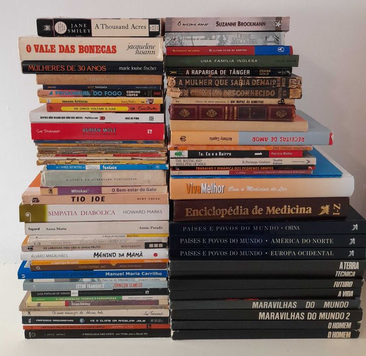 Lote de 557 Livros