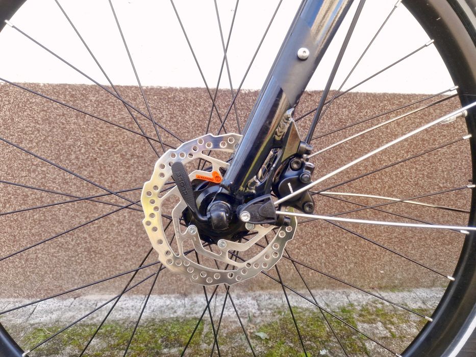 Rower trekkingowy BERGAMONT Vitess N8 pasek Gates / XL - 60 cm / FV23%