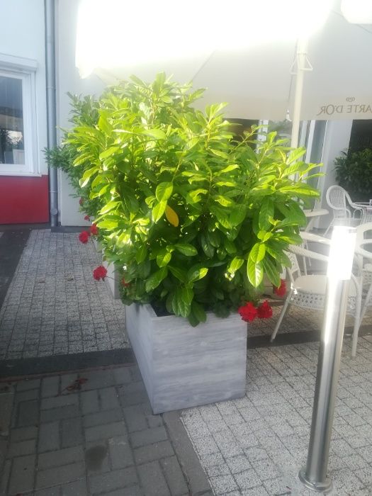 Donice, donica betonowa kwietnik Prostokąt - PRODUCENT