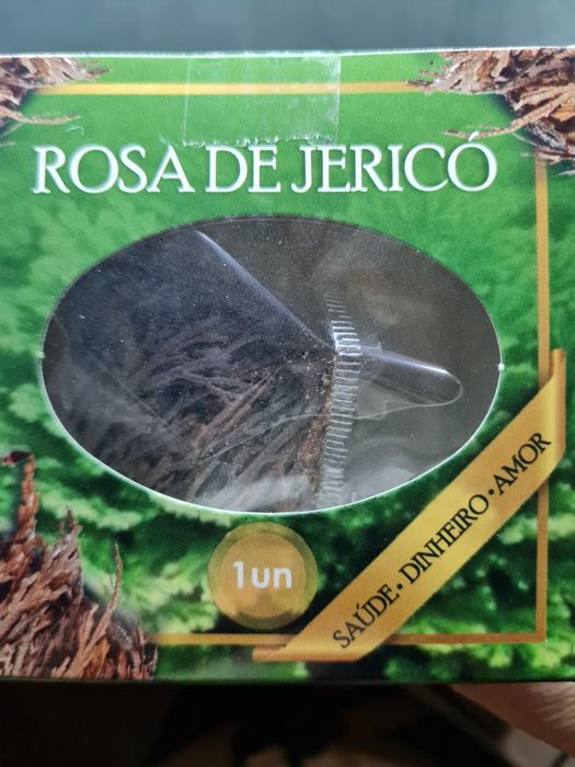 Rosa de Jericó em caixa com oração