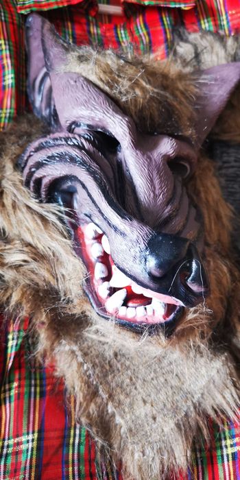 Fato de carnaval lobisomem