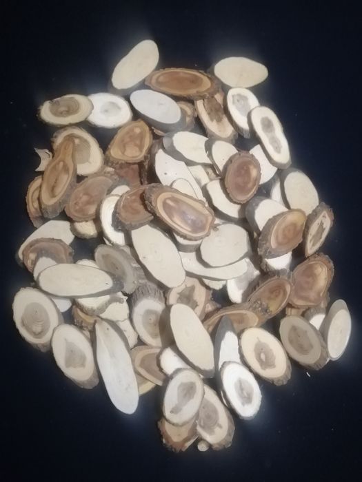 Спилы для творчества