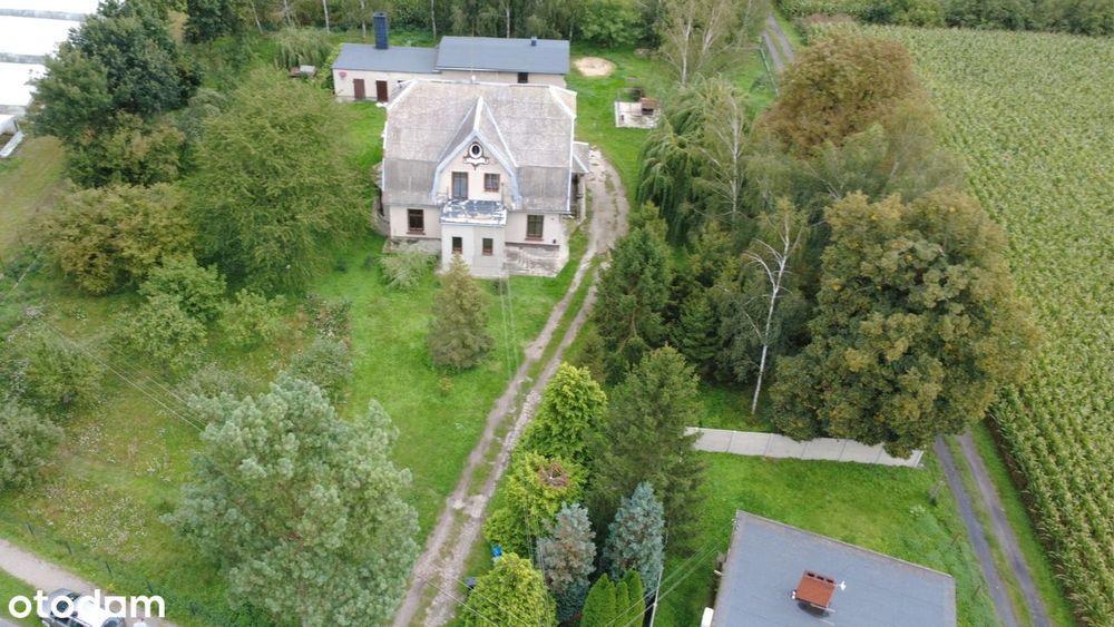 Duża działka, spokojna okolica