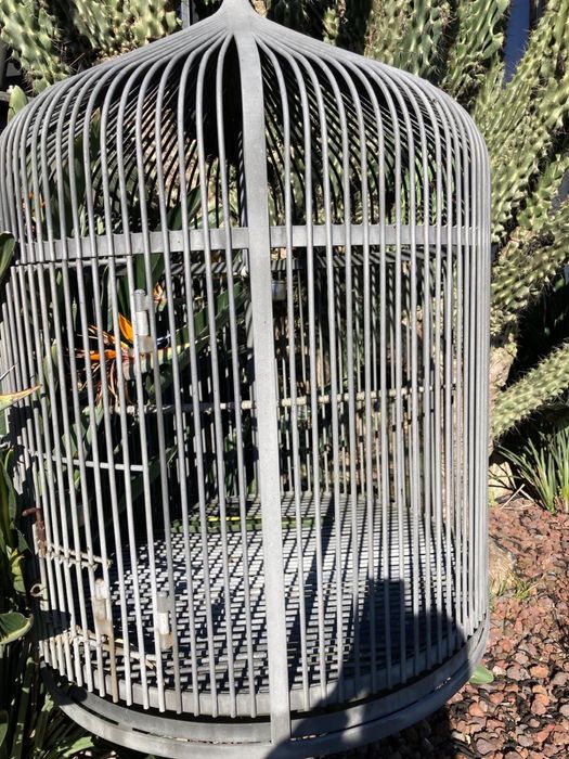 Gaiola de ferro, exclusiva para passáros