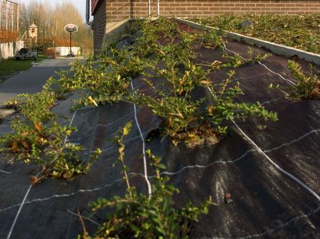 Mata ściółkowa polipropylenowa 90g/m2