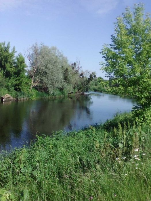 Дача на массиві сухолісських дач.