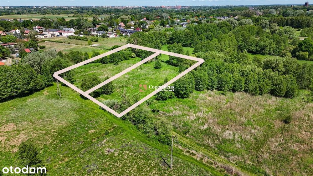 Mała Nieszawka - dopuszczalna zabudowa zagrodowa - View 6