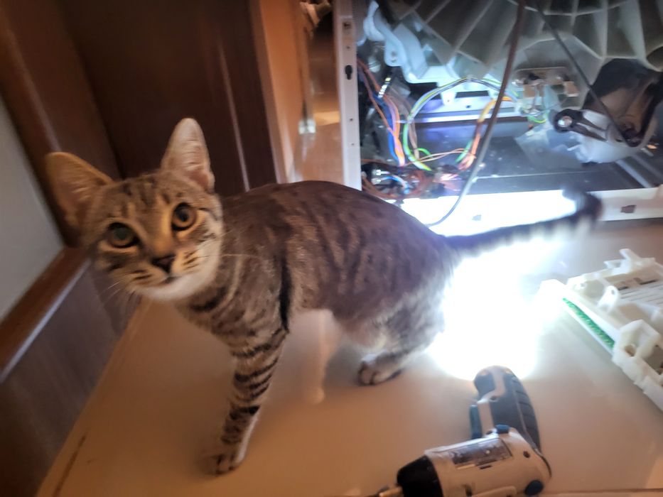 Naprawa pralek i suszarek, zapraszam !!