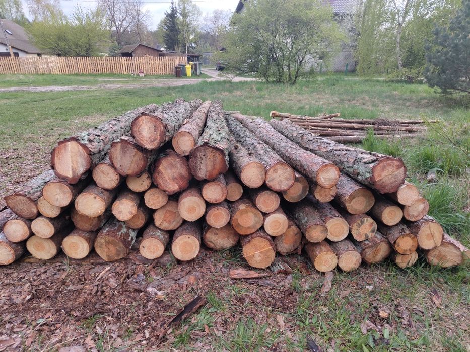 Ogród,Słupki,Słupy,Ogrodzenie