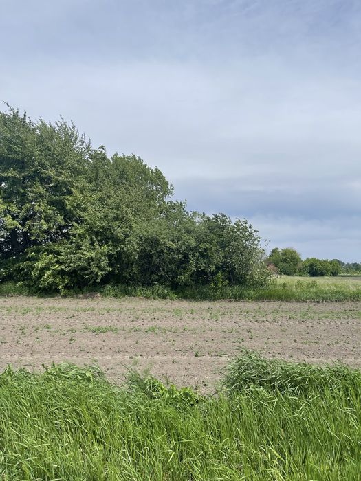 Земельна ділянка