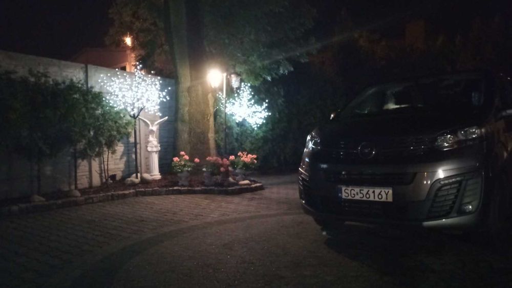 503:007:768 Wynajem busa 9,17,19,20,50 Przewóz osób, dowóz pracowników