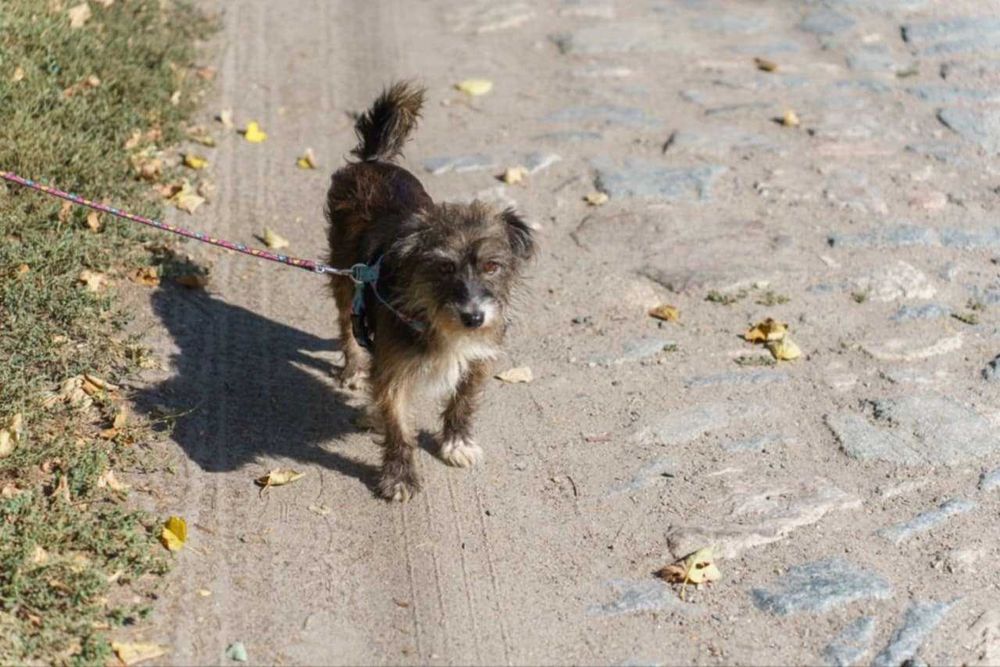 Маленька дівчинка в найкращі ручки