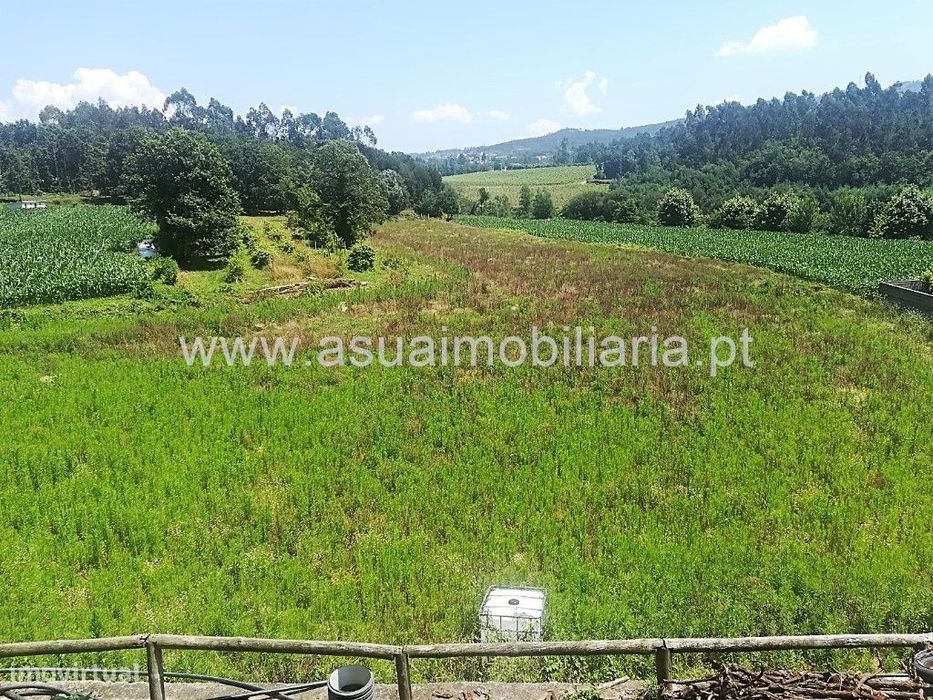 Terreno Agrícola - Prozelo