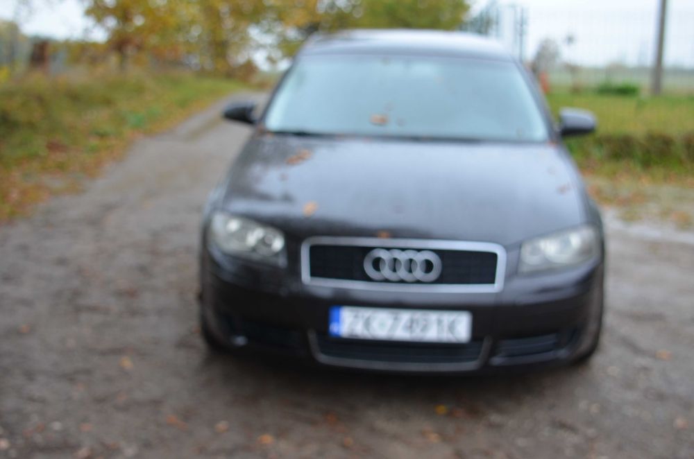 audi a3 8p  1,6 MPI  3D